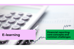 Financial reporting: core concepts and common challenges
