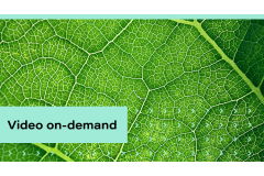 ESG reporting for accountants: connect sustainability insights to financial performance (January 2026)